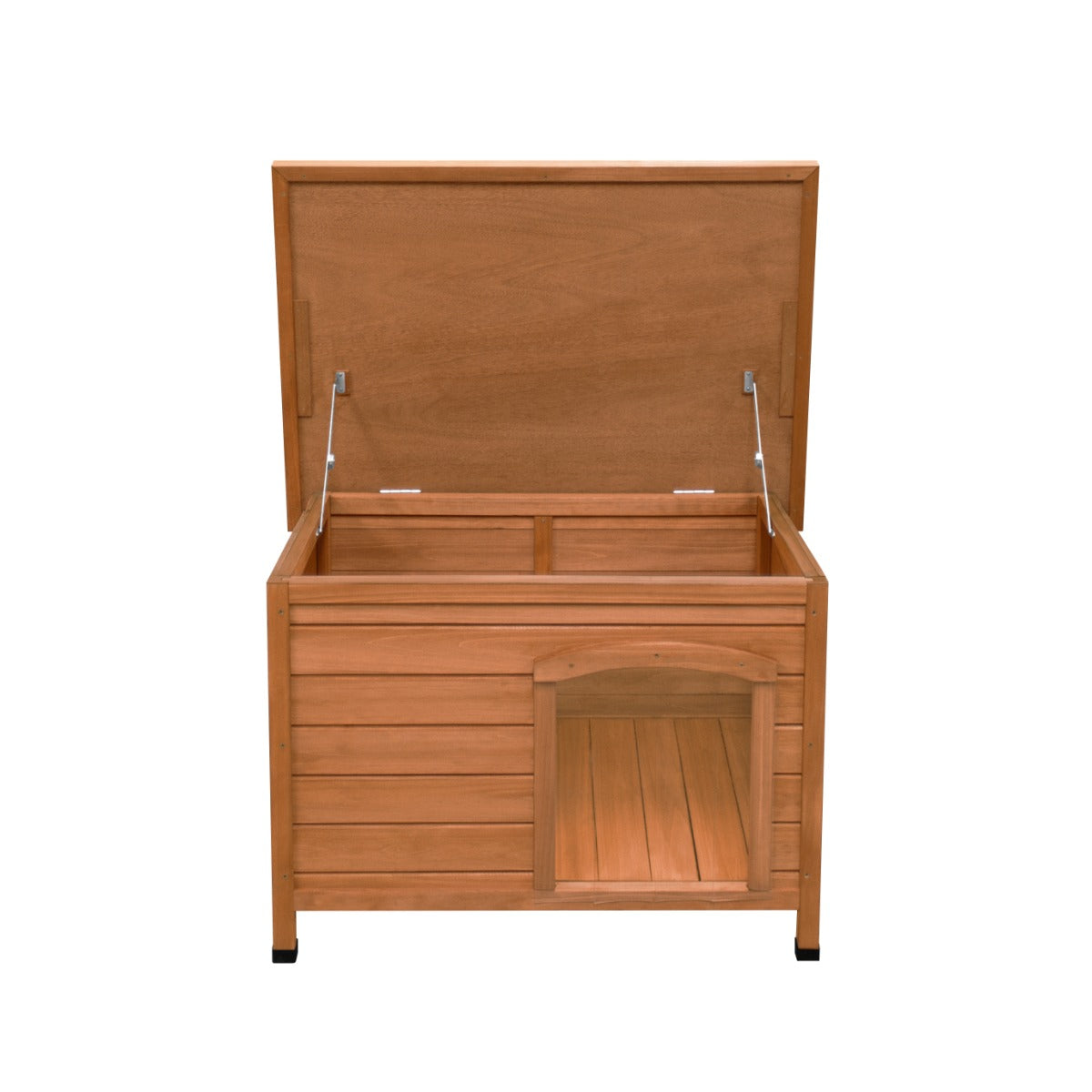 Canil para cães pequenos