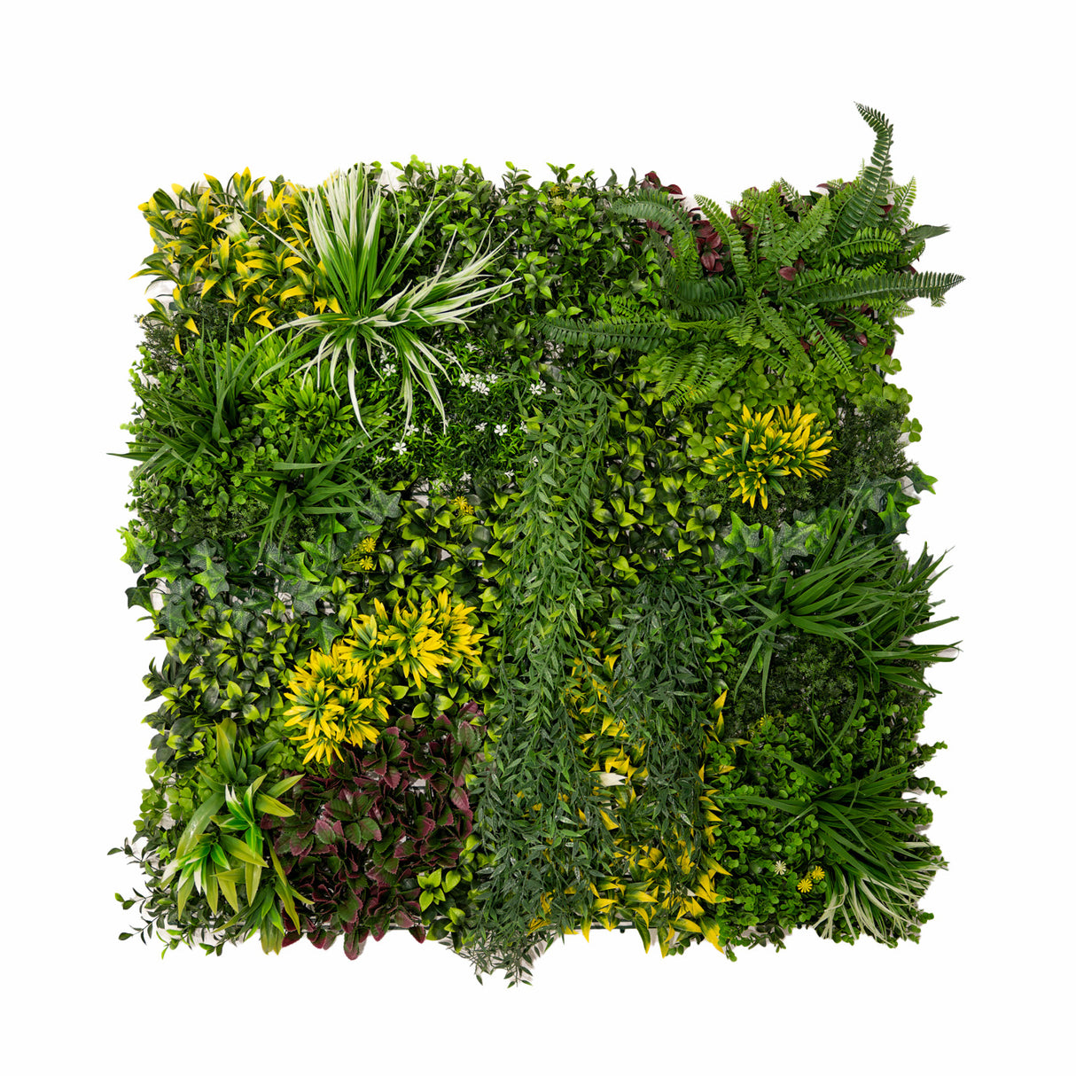 Painel de Parede de Jardim Vertical Artificial Cassia - 100cm x 100cm (conjunto de 3 unidades)