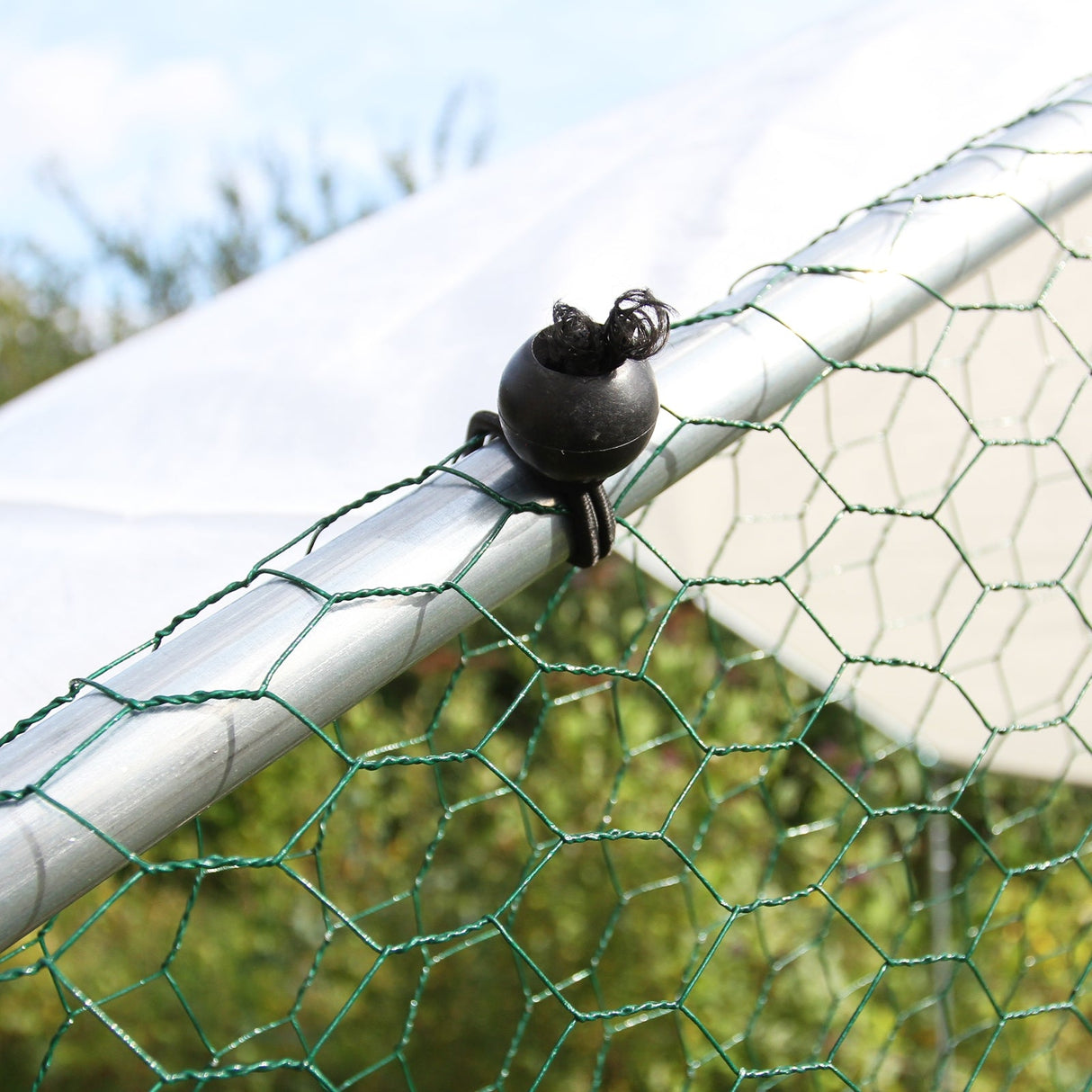 Cerca da gaiola das aves domésticas que cerca galinhas de aço da caixa de galinha 4m x 6m x 2m