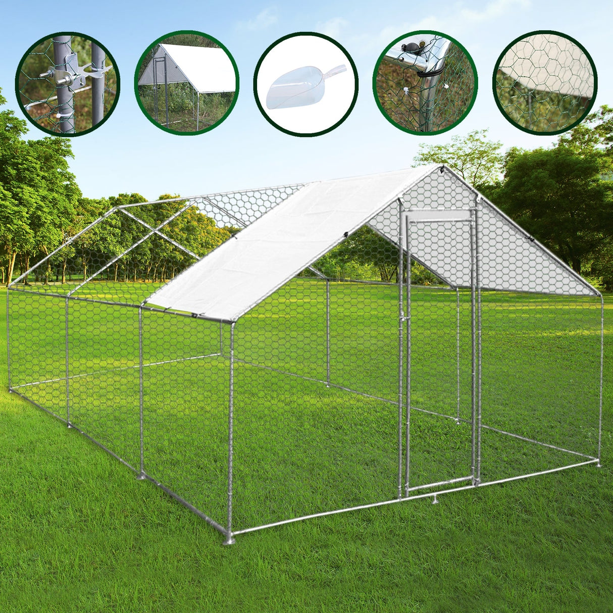 Cerca da gaiola das aves domésticas que cerca galinhas de aço da caixa de galinha 4m x 6m x 2m