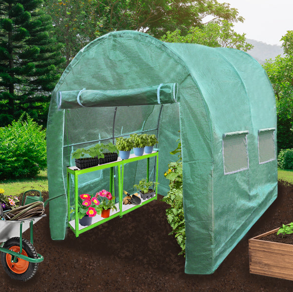 Estufa Polytunnel com barraca de cultivo de prateleiras de jardim galvanizadas 25mm 3 x 2m