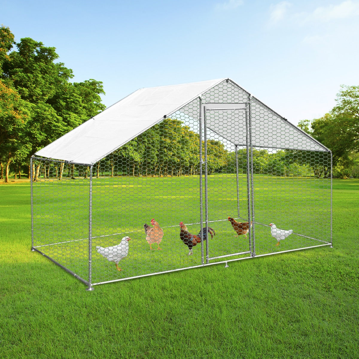 Cerca da gaiola das aves domésticas que cerca galinhas de aço da caixa de galinha 4m x 2m x 2m