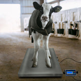 Balança Veteriná ria 60cm x 90cm