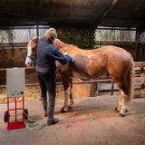 Duche portátil para cavalos em uso, com um cavalo castanho claro sendo tosquiado por uma pessoa em um estábulo iluminado