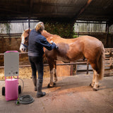 Cavalo castanho claro sendo escovado por uma pessoa em um estábulo, com um equipamento de limpeza rosa ao lado, luz suave entrando pela janela