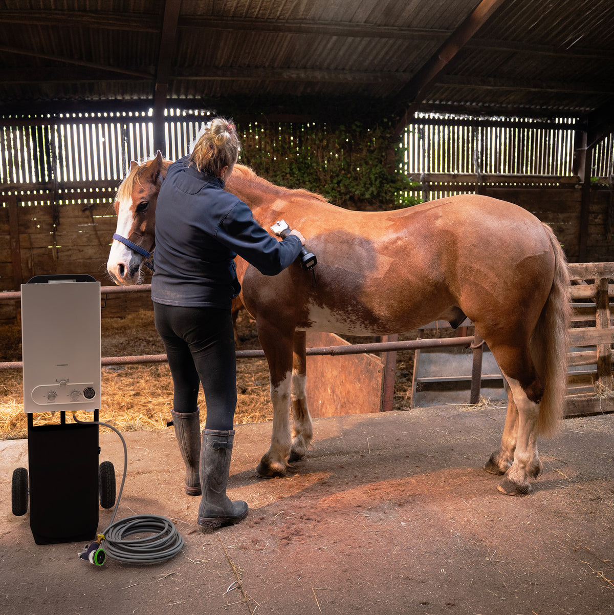Cavalo castanho claro sendo escovado por uma mulher em um estábulo, com luz suave e ambiente rústico ao fundo