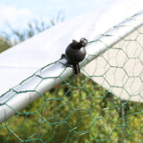 Cerca da gaiola das aves domésticas que cerca galinhas de aço da caixa de galinha 3m x 8m x 2m