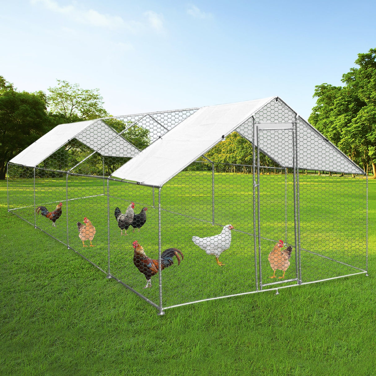 Cerca da gaiola das aves domésticas que cerca galinhas de aço da caixa de galinha 3m x 8m x 2m