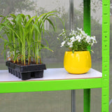 Estufa 6 pés x 6 pés com base e 2 prateleiras resistentes à água