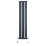 Radiador de coluna simples oval cinza antracite, com seis seções verticais e válvulas cromadas, ideal para aquecimento eficiente