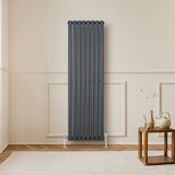Radiador de coluna simples oval cinza antracite, com válvulas, instalado em parede clara, ao lado de mesa de madeira decorativa