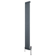 Radiador de coluna simples oval cinza antracite, com design elegante e válvulas, ideal para aquecimento em ambientes modernos