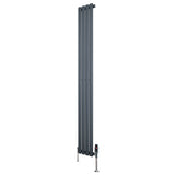 Radiador de coluna simples oval cinza antracite, com design elegante e válvulas, ideal para aquecimento em ambientes modernos