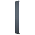 Radiador de coluna simples oval cinza antracite, com design elegante e moderno, medindo 1600 mm x 240 mm, ideal para aquecimento eficiente