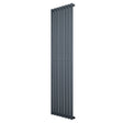 Radiador de coluna simples oval em cinza antracite, com design vertical e superfície lisa, ideal para aquecimento eficiente e moderno