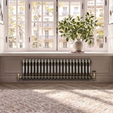 Radiador Tradicional de 2 Colunas - 300 x 1010mm - Metal Cru