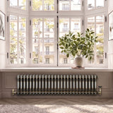 Radiador Tradicional de 2 Colunas - 300 x 1190mm - Metal Cru