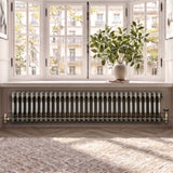 Radiador Tradicional de 2 Colunas - 300 x 1460mm - Metal Cru
