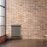 Radiador Tradicional de 2 Colunas - 600 x 425mm - Metal Cru