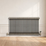 Radiador Tradicional de 2 Colunas - 600 x 1010mm - Metal Cru