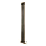 Radiador Tradicional de 3 Colunas com Válvulas - 1800 x 200mm - Metal Cru